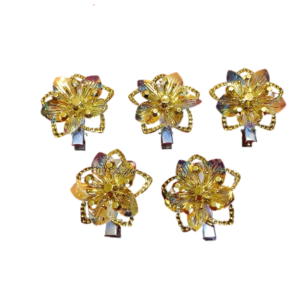 Golden & Blue color shade Clips for Children | pack of 5 |