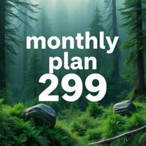 monthly fb plan 299