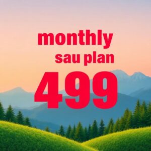 monthly fb page booster 499